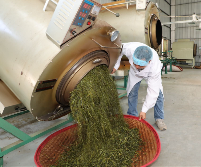 Munus chillers in tea processus et refrigerationem